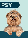 PSY